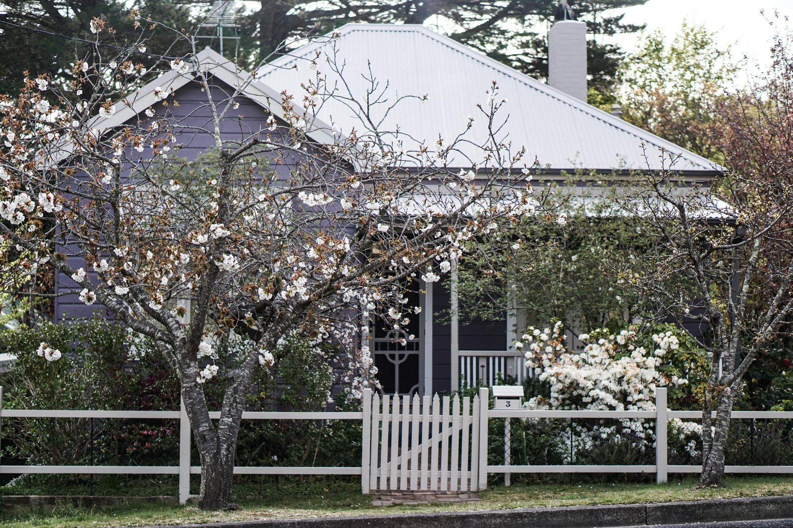 A picturesque view of a charming home in Leura, featuring blooming trees and a white picket fence.